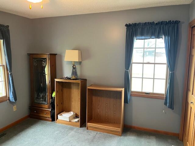 1021 112th Ave, Martin, MI 49070 - photo 48