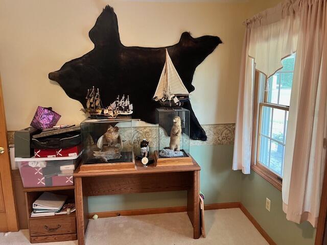 1021 112th Ave, Martin, MI 49070 - photo 46