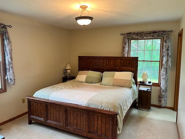 1021 112th Ave, Martin, MI 49070 - photo 40