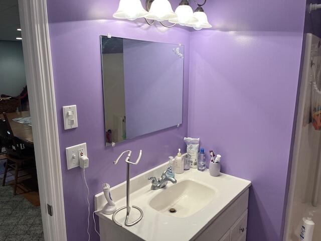 1021 112th Ave, Martin, MI 49070 - photo 61
