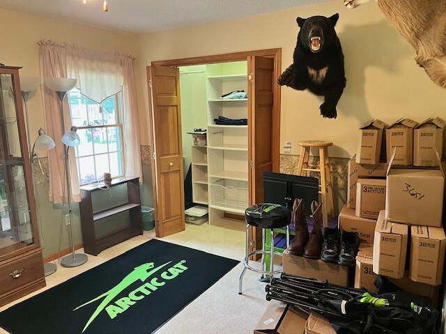 1021 112th Ave, Martin, MI 49070 - photo 44