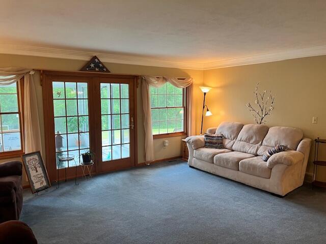 1021 112th Ave, Martin, MI 49070 - photo 35