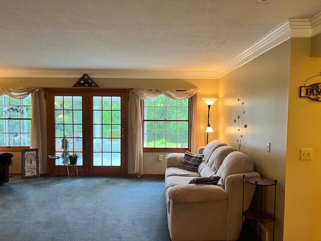 1021 112th Ave, Martin, MI 49070 - photo 34
