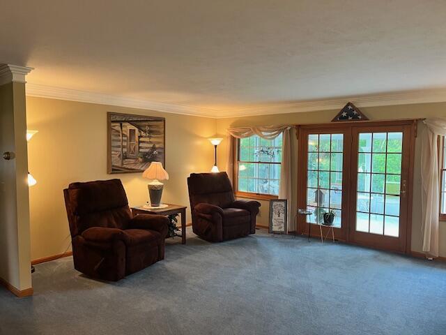 1021 112th Ave, Martin, MI 49070 - photo 36