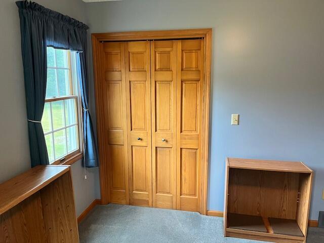 1021 112th Ave, Martin, MI 49070 - photo 47