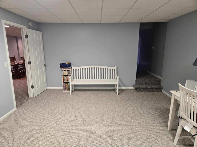 1021 112th Ave, Martin, MI 49070 - photo 52
