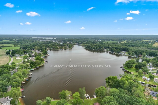 297 Winhoven Dr, Coldwater, MI 49036 - photo 59
