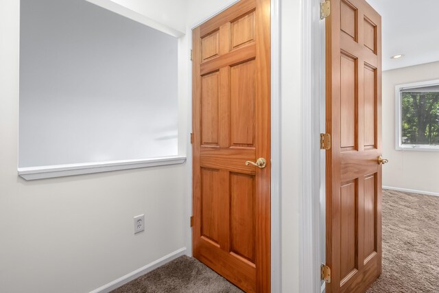 297 Winhoven Dr, Coldwater, MI 49036 - photo 37