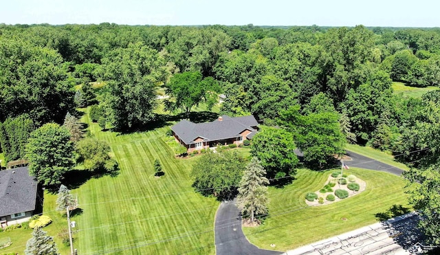 7007 Jackman Rd, Temperance, MI 48182 - drone / aerial view