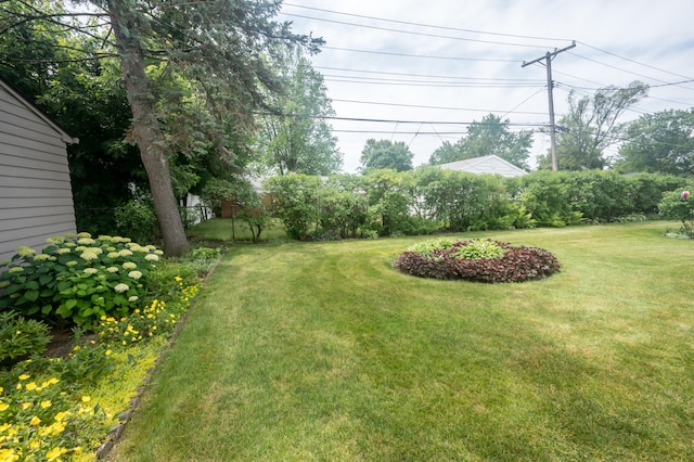 36067 Rolf St, Westland, MI 48186 - view of grassy yard