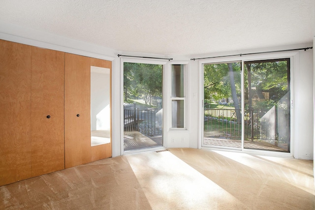 3536 Tamsin Ave, Kalamazoo, MI 49008 - unfurnished bedroom with carpet flooring, access to outside, and a textured ceiling