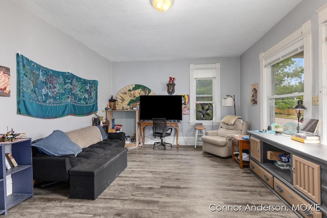 1523 Broadway Ave NW, Grand Rapids, MI 49504 - living room featuring wood finished floors