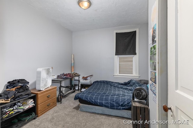 1523 Broadway Ave NW, Grand Rapids, MI 49504 - carpeted bedroom featuring a textured ceiling