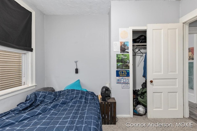1523 Broadway Ave NW, Grand Rapids, MI 49504 - bedroom featuring carpet floors