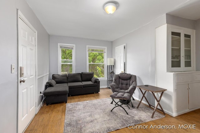 1523 Broadway Ave NW, Grand Rapids, MI 49504 - living room with light wood-style floors