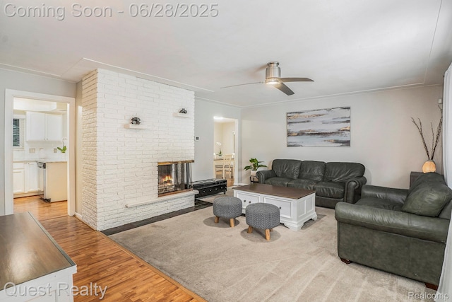 181 S Josephine Ave, Pontiac, MI 48341 - living area featuring light wood-style flooring, ceiling fan, a fireplace, and crown molding