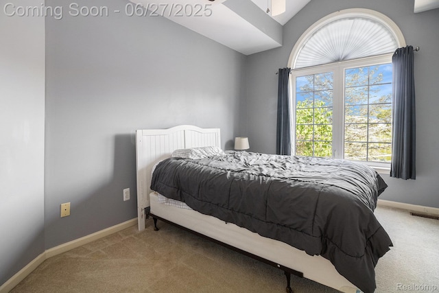 832 Townsend Dr, South Lyon, MI 48178 - bedroom with carpet floors and lofted ceiling