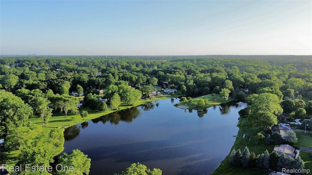 2546 Limerick Ln, Troy, MI 48098 - bird's eye view of a nearby body of water