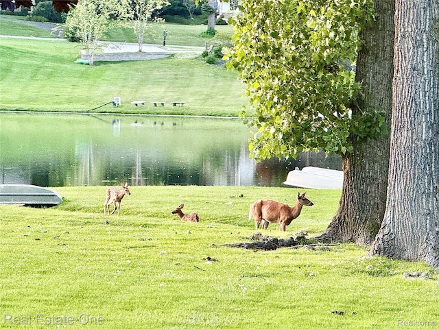 2546 Limerick Ln, Troy, MI 48098 - view of community featuring a water view and a lawn