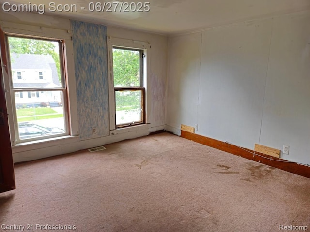 4428 Elizabeth St, Wayne, MI 48184 - spare room with carpet flooring