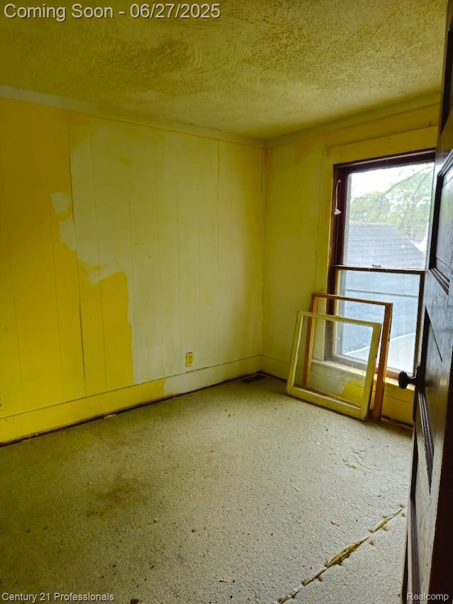 4428 Elizabeth St, Wayne, MI 48184 - spare room with a textured ceiling