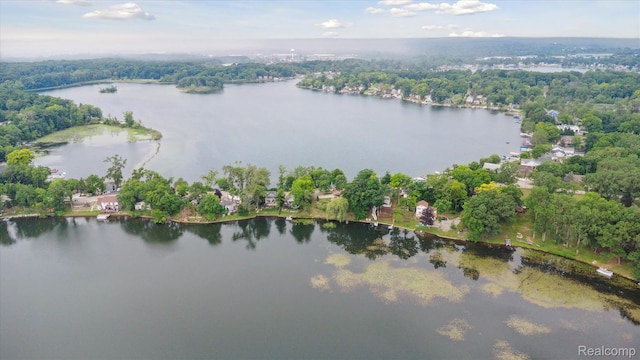 6201 Academy Dr, Brighton, MI 48116 - aerial view of a nearby body of water
