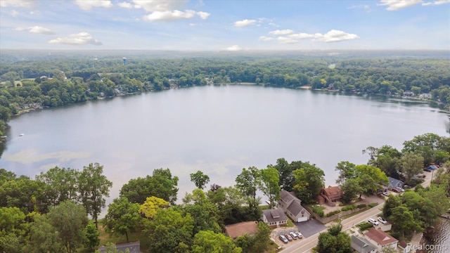 6201 Academy Dr, Brighton, MI 48116 - drone / aerial view of a large body of water