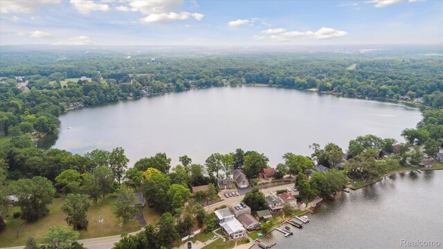 6201 Academy Dr, Brighton, MI 48116 - aerial view of a nearby body of water and a forest