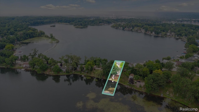 6201 Academy Dr, Brighton, MI 48116 - aerial view of property's location with property parcel outlined and a nearby body of water