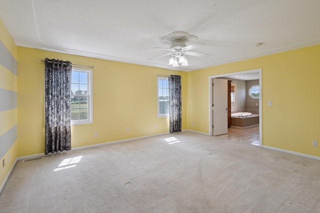 14134 Elm Row Rd, Albion, MI 49224 - photo 8
