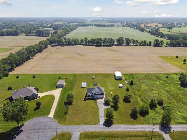 14134 Elm Row Rd, Albion, MI 49224 - photo 23