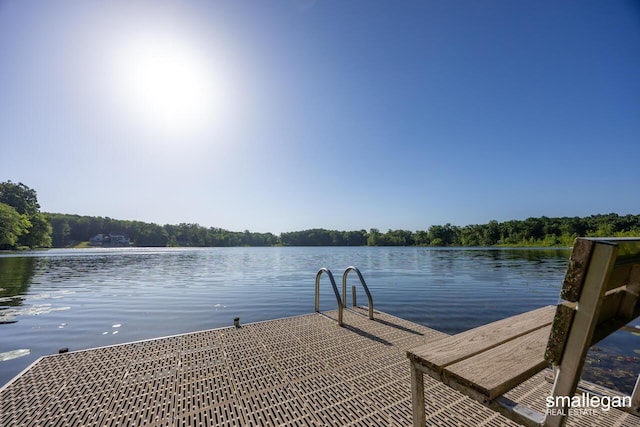 3192 W Sisson Rd, Freeport, MI 49325 - dock area featuring a water view