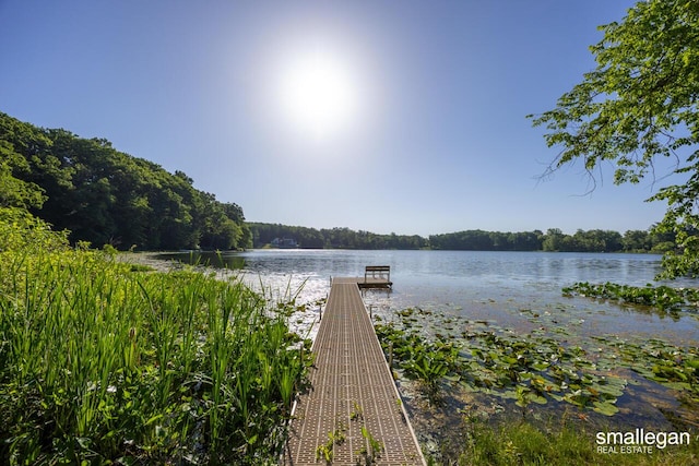 3192 W Sisson Rd, Freeport, MI 49325 - dock area with a water view