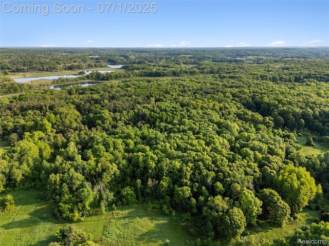 5131 Navajo Trl, Pinckney, MI 48169 - aerial view of a heavily wooded area and a nearby body of water