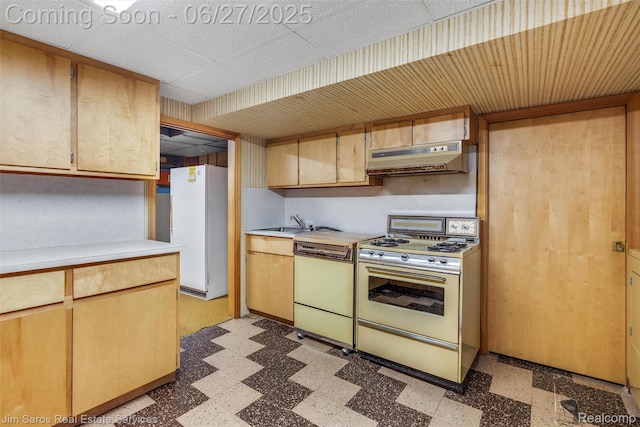693 Anita Ave, Grosse Pointe Woods, MI 48236 - kitchen with white appliances, under cabinet range hood, light flooring, and light countertops