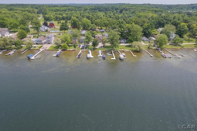 680 Breyman Hwy, Tipton, MI 49287 - aerial view of property and surrounding area featuring a large body of water and a forest
