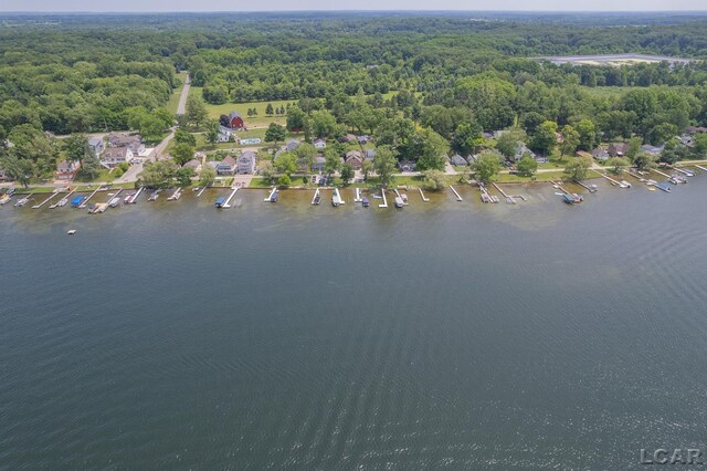 680 Breyman Hwy, Tipton, MI 49287 - aerial view of a forest and a nearby body of water