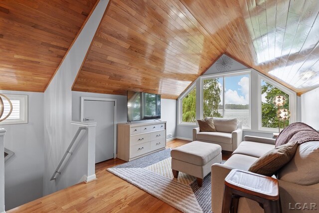 680 Breyman Hwy, Tipton, MI 49287 - living area featuring lofted ceiling, wood ceiling, and light wood-style floors