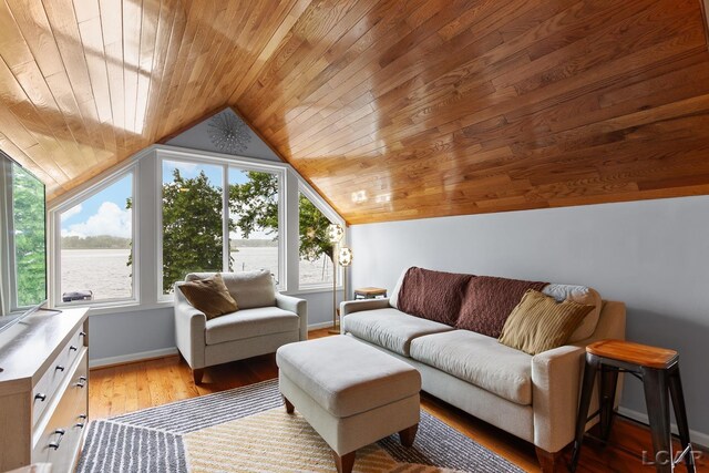 680 Breyman Hwy, Tipton, MI 49287 - living room with wooden ceiling, vaulted ceiling, and light wood finished floors