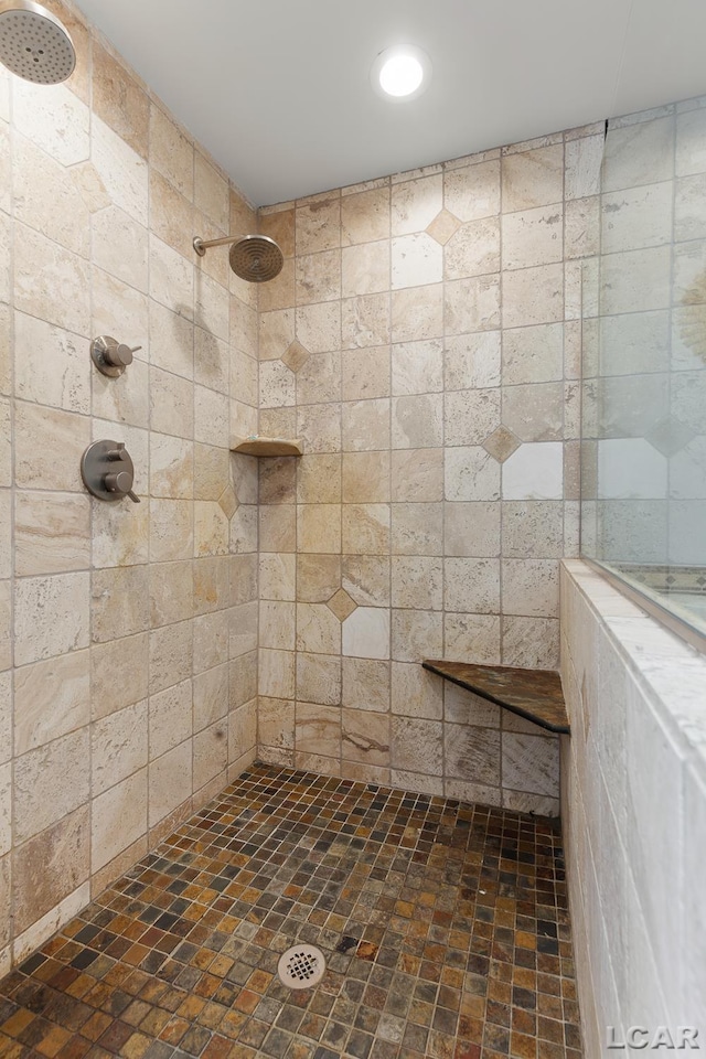 680 Breyman Hwy, Tipton, MI 49287 - full bath with a tile shower