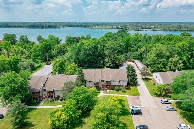 10228 Nancys Blvd Unit 33, Grosse Ile, MI 48138 - bird's eye view of a large body of water