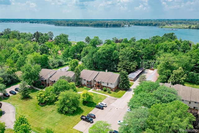 10228 Nancys Blvd Unit 33, Grosse Ile, MI 48138 - aerial view of a large body of water