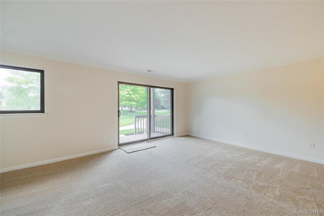 10228 Nancys Blvd Unit 33, Grosse Ile, MI 48138 - spare room with light colored carpet and crown molding