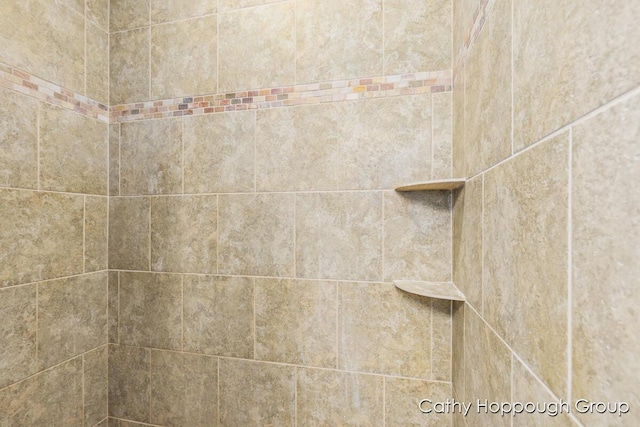 950 Whitetail Ct, Ionia, MI 48846 - bathroom view of tiled shower