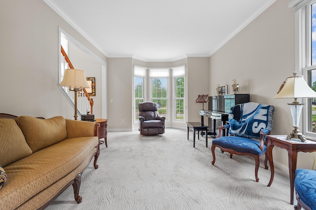 6380 Mcgillicuddy Ln, Portage, MI 49024 - living room with carpet and ornamental molding