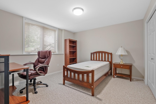 6380 Mcgillicuddy Ln, Portage, MI 49024 - bedroom with carpet, an office area, and a closet