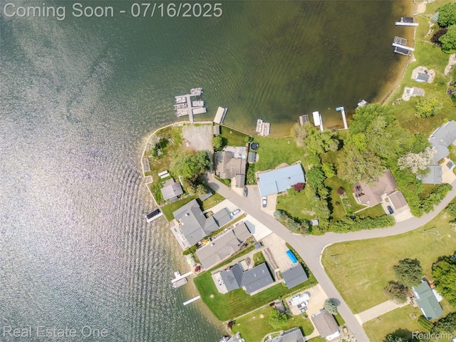 16384 Whitehead Dr, Linden, MI 48451 - photo 10