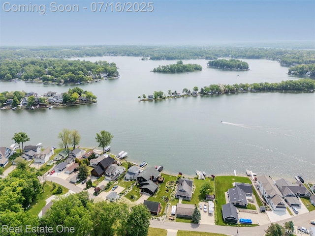 16384 Whitehead Dr, Linden, MI 48451 - photo 8