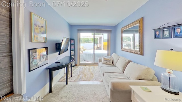 16384 Whitehead Dr, Linden, MI 48451 - photo 47
