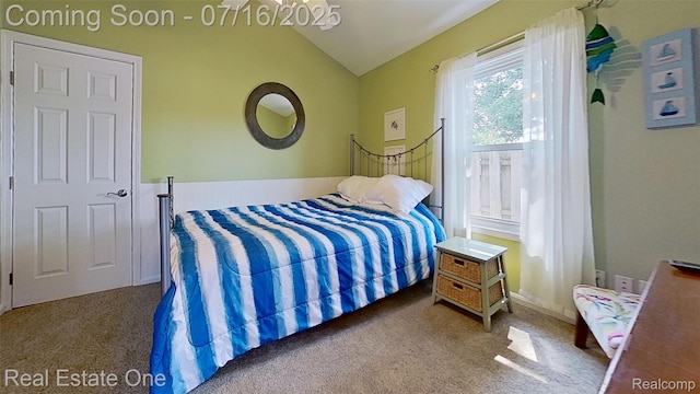 16384 Whitehead Dr, Linden, MI 48451 - photo 56